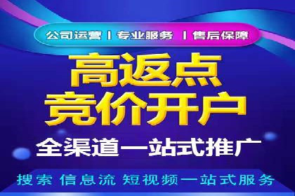 从新手到高手：百度竞价实战案例分析